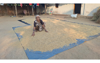 मेहनत की कमाई को अब उम्मीद के अनुसार पूरा मोल मिल रहा है।